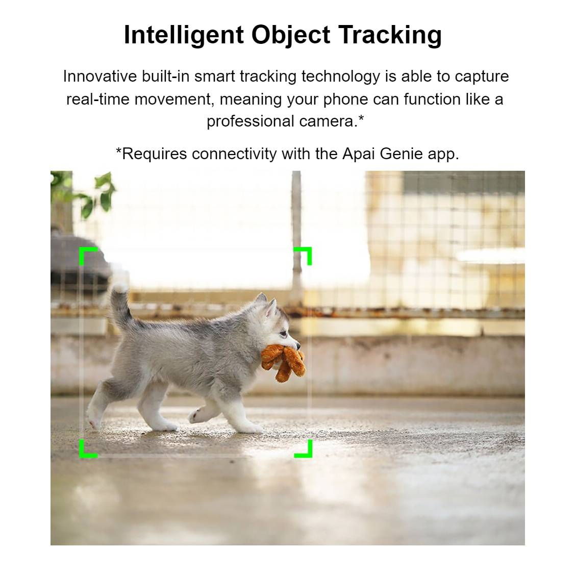 Robot Cameraman Consumer Electronics Robot Cameraman Consumer Electronics