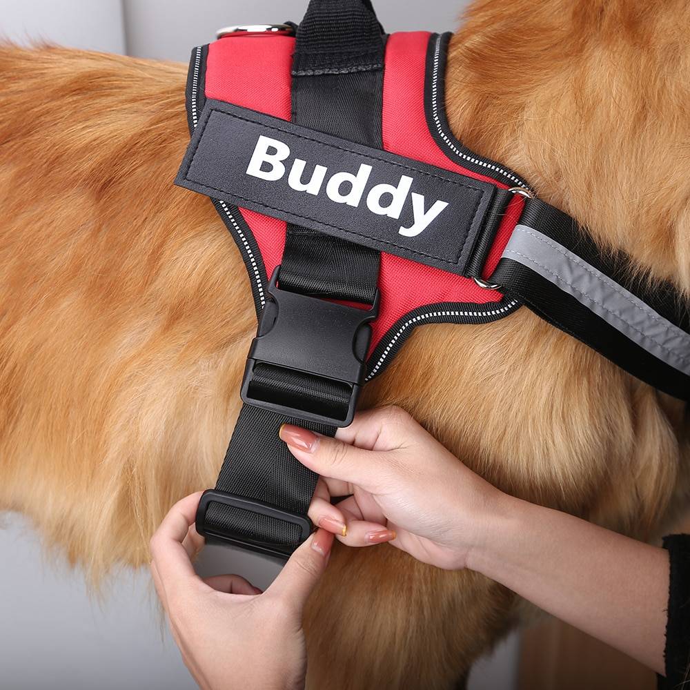 Personalized Dog Harness NO PULL Pet Harness Vest Personalized Dog Harness NO PULL Pet Harness Vest