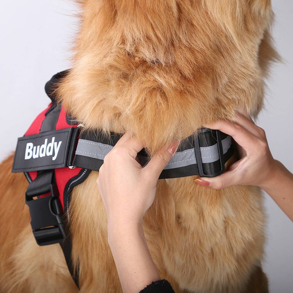 Personalized Dog Harness NO PULL Pet Harness Vest Personalized Dog Harness NO PULL Pet Harness Vest