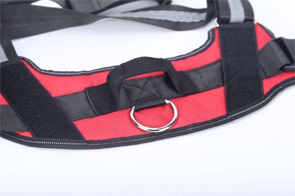 Personalized Dog Harness NO PULL Pet Harness Vest Personalized Dog Harness NO PULL Pet Harness Vest