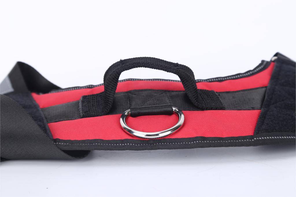 Personalized Dog Harness NO PULL Pet Harness Vest Personalized Dog Harness NO PULL Pet Harness Vest