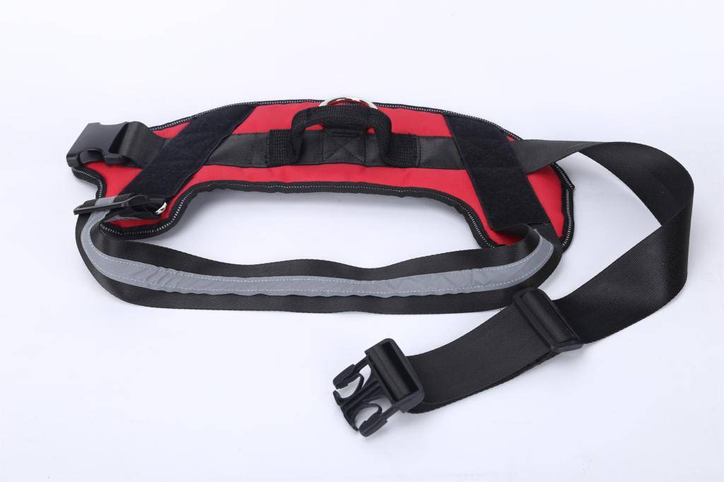 Personalized Dog Harness NO PULL Pet Harness Vest Personalized Dog Harness NO PULL Pet Harness Vest