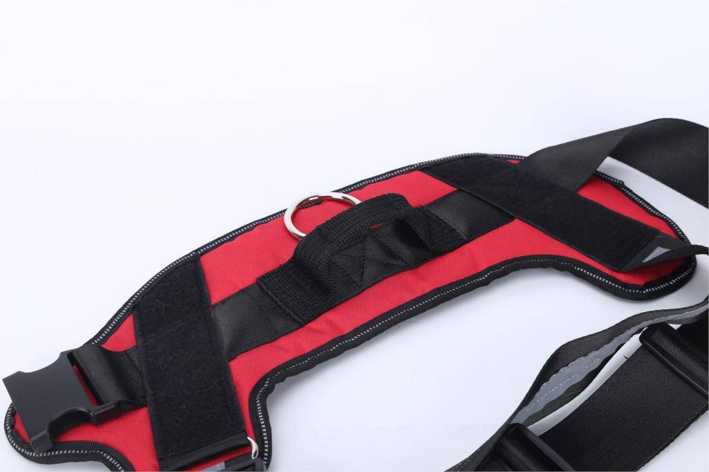 Personalized Dog Harness NO PULL Pet Harness Vest Personalized Dog Harness NO PULL Pet Harness Vest